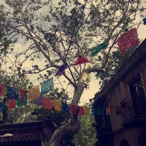 Meet your Posher, Jocelyn